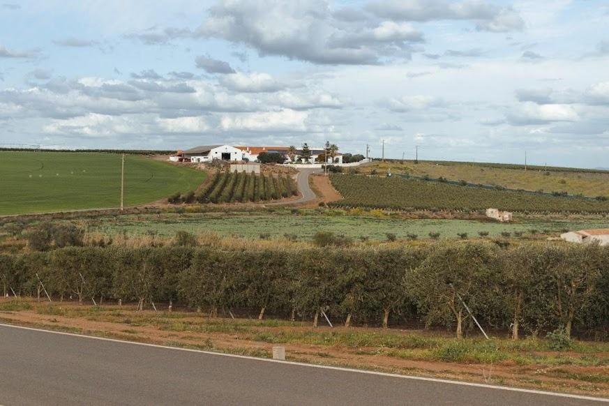 فندق Quinta Do Castelo باجة المظهر الخارجي الصورة